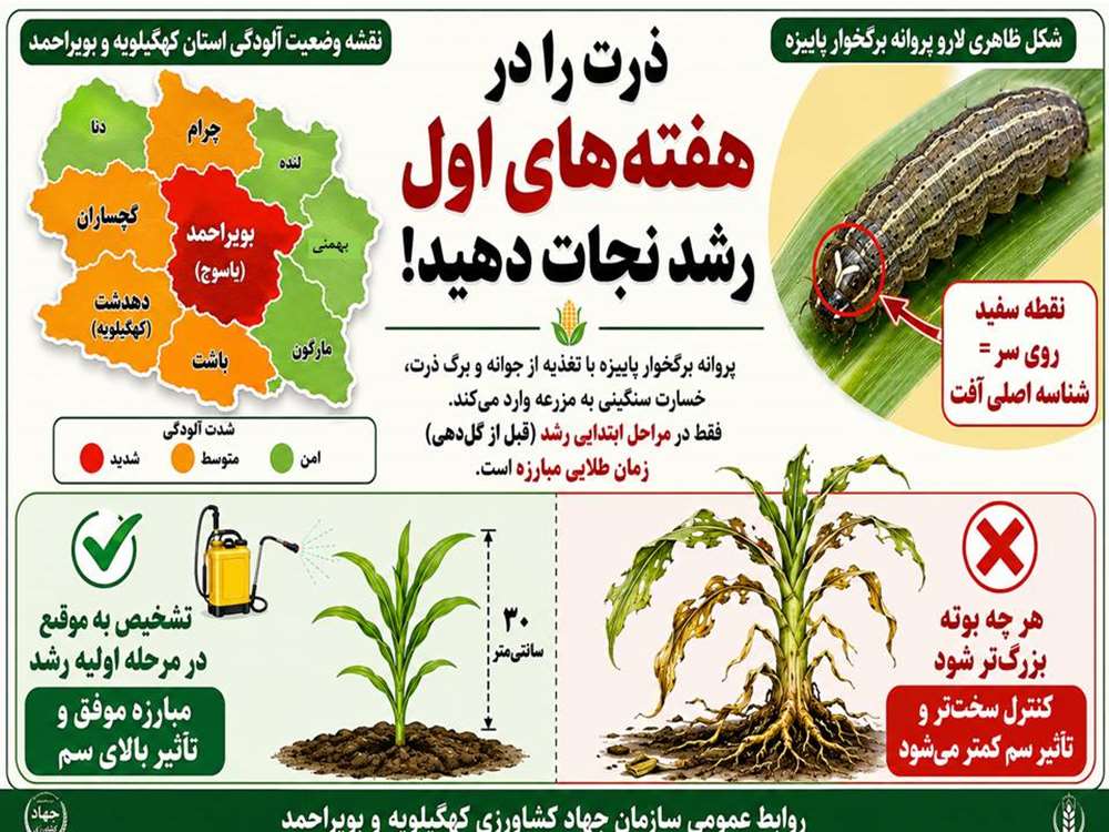 پراکنش پروانه برگخوار پاییزه تیر 1405 